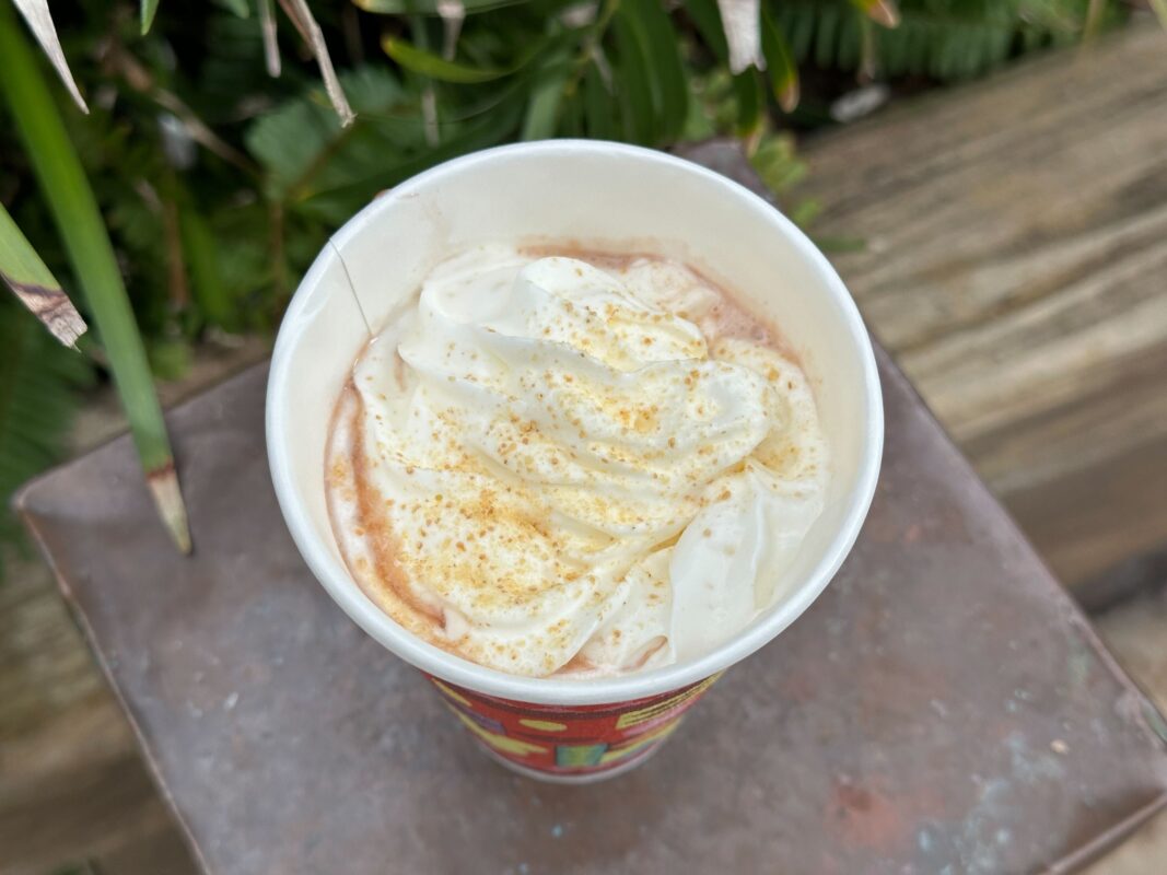 Graham cracker dust and whipped cream on s'mores hot cocoa