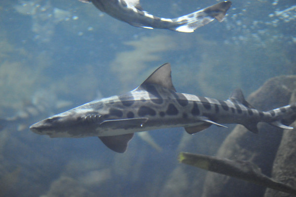 588697869_tPCgW-M.jpg