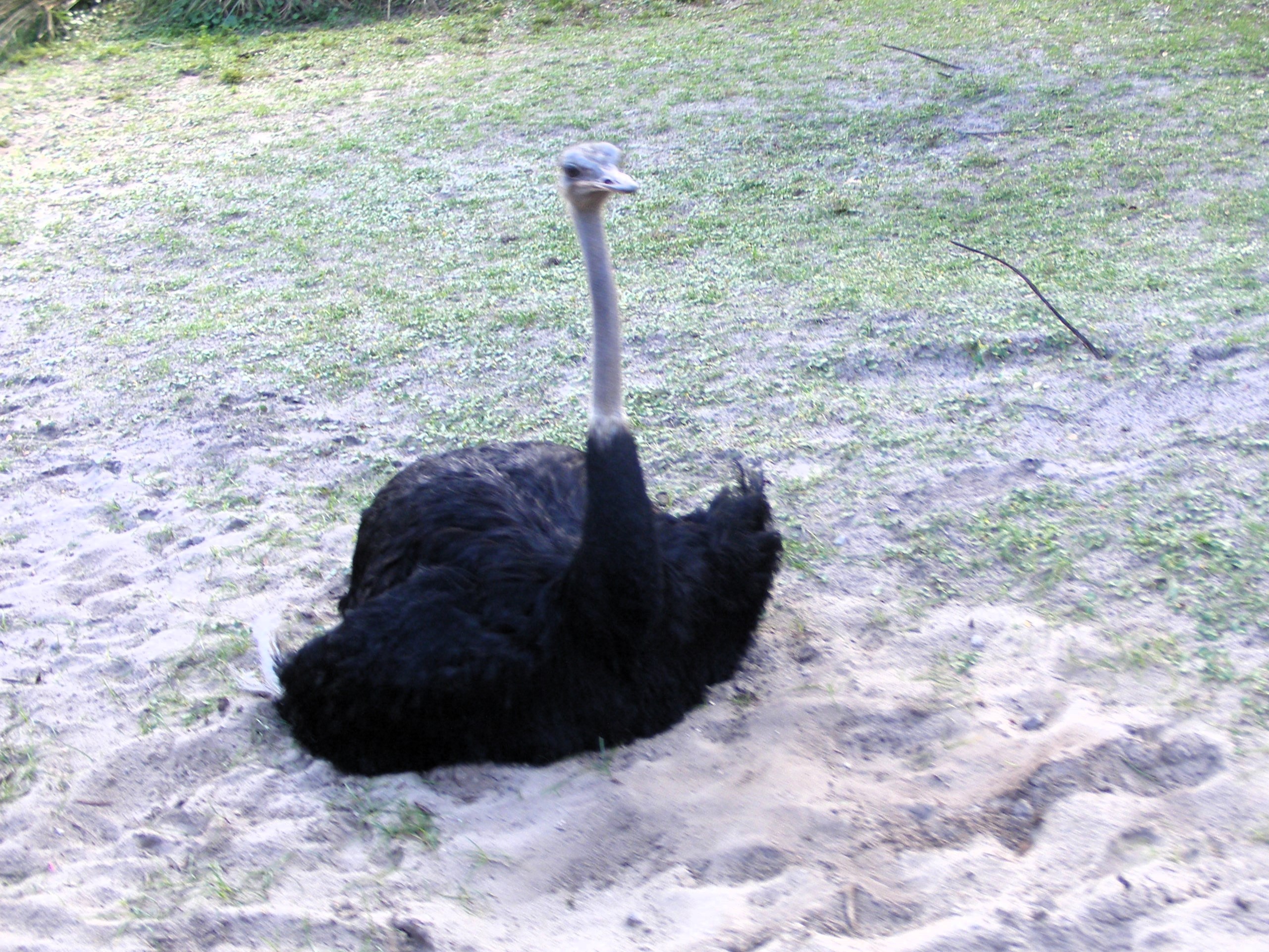 DSCF4930.jpg
