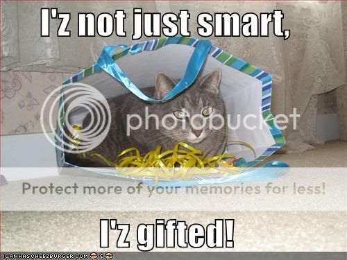funny-pictures-smart-cat-gift-bag.jpg