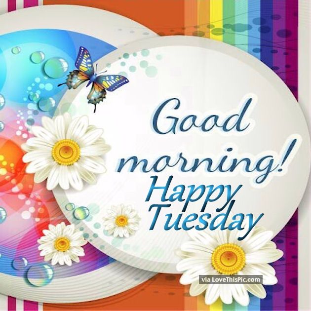 255419-Good-Morning-Happy-Tuesday-Spring-Quote.jpg