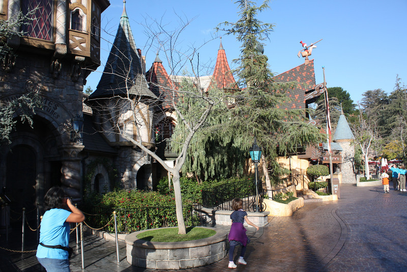 IMG9169-L.jpg