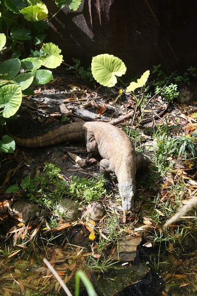 1211060136_M27oa-L.jpg
