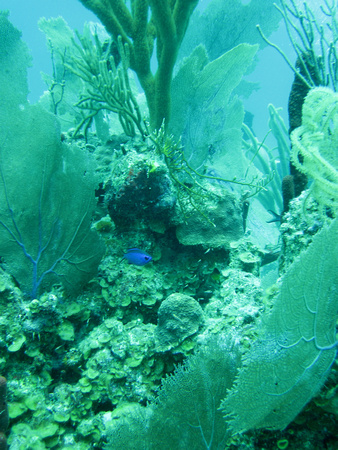 p753455497-3.jpg