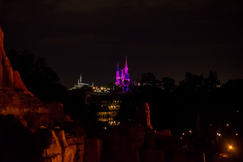 DSC_2310-L.jpg