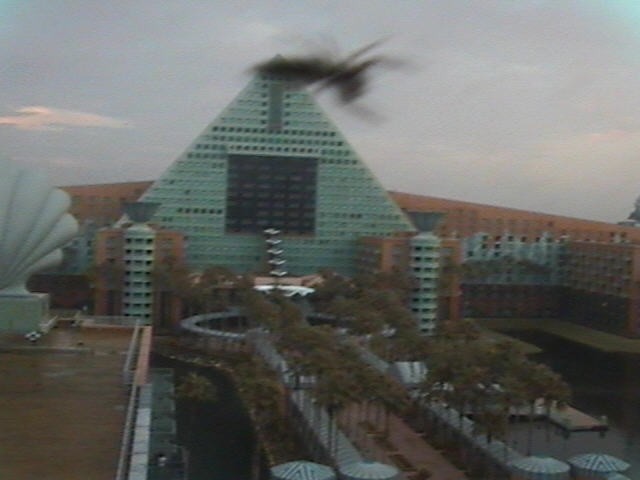 20110828-1.jpg