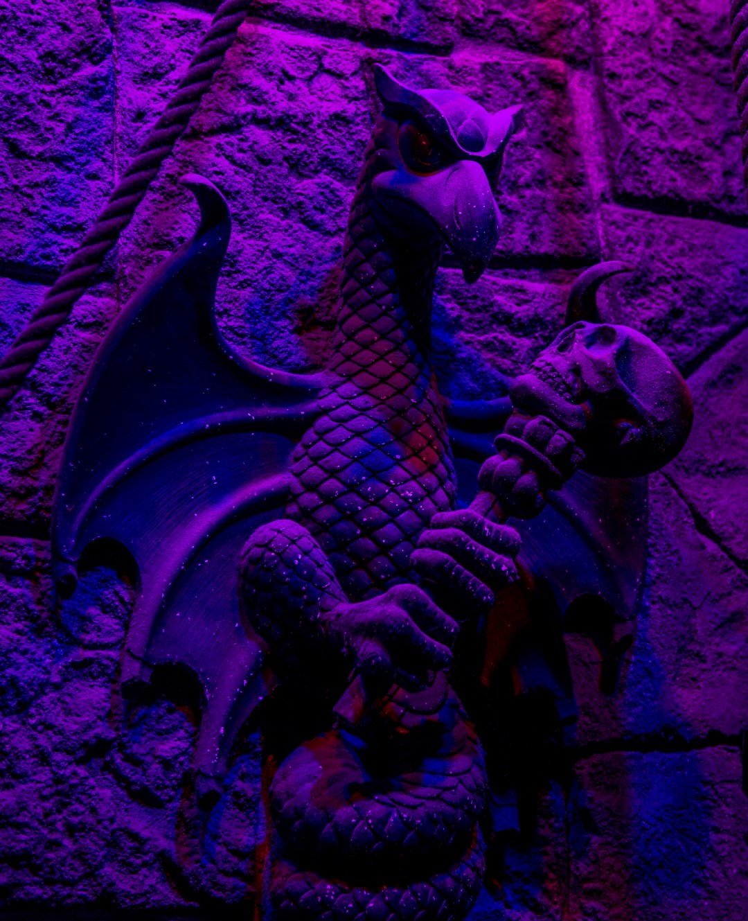 DSC_4133%20(Large).jpg