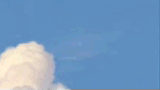 tumblr_lohgx6EdTj1qcpcy8o9_250.gif