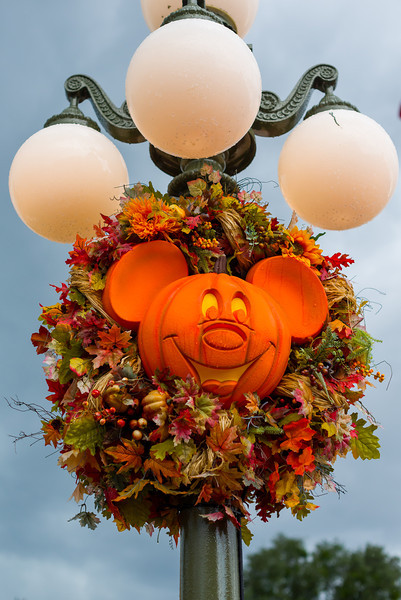 DSC_1262-L.jpg