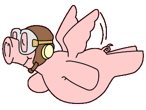 FlyPig.gif