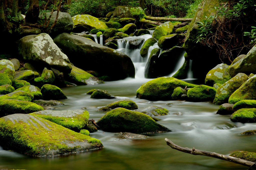 DSC_0336_7_8-Edit-XL.jpg