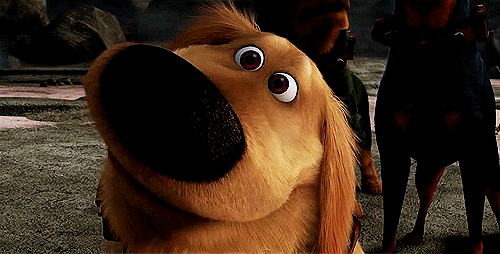 tumblr_m3ju6wpwfK1qb9xkb.gif