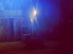 tumblr_m70rwcZPoI1ron04jo3_250.gif