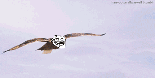 tumblr_lpqzzxDlWx1qmbdmwo1_500.gif