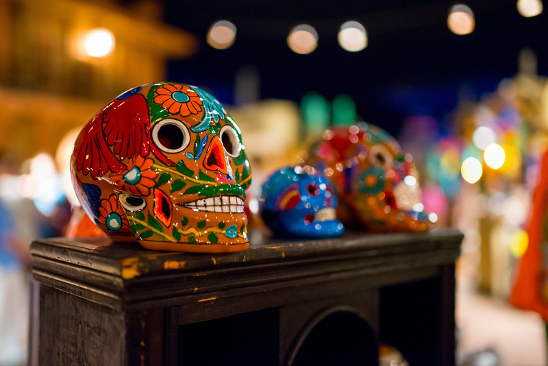DSC_9464-L.jpg