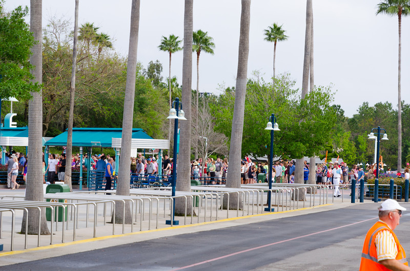 DSC1895-L.jpg