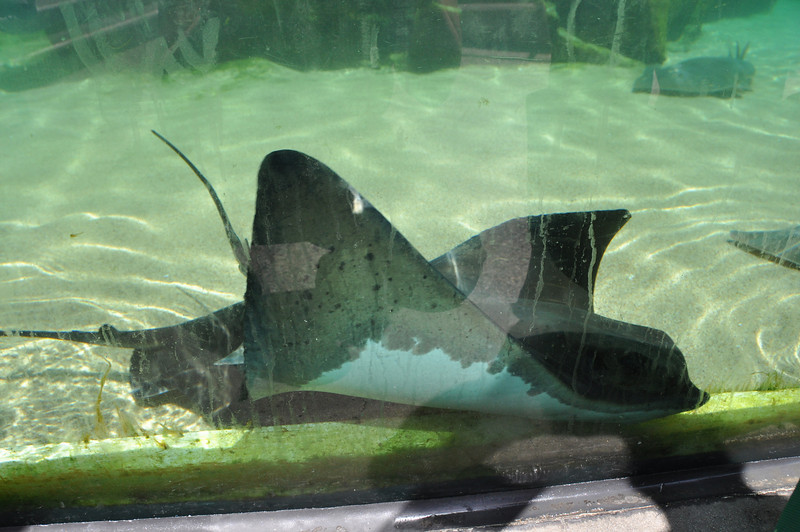 600354871_9Bdh6-L.jpg