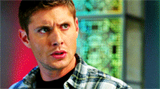 tumblr_lnhm9x52oW1qc5j2z.gif