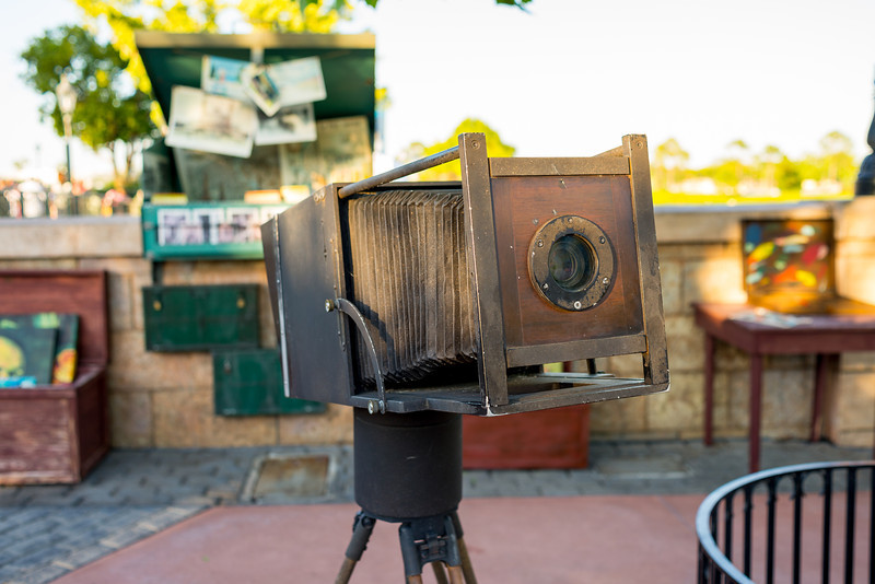 DSC_2558-L.jpg