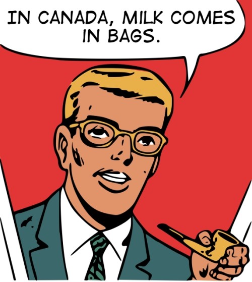 canadian-milk-bags.jpg