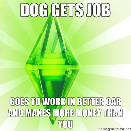 tumblr_lj8nzyHjzx1qffgx4o1_500.jpg