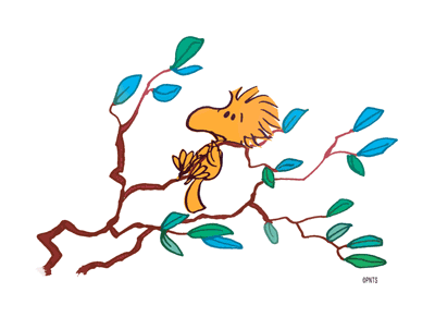 d964c2014463a89503c49dd8499792d6.gif