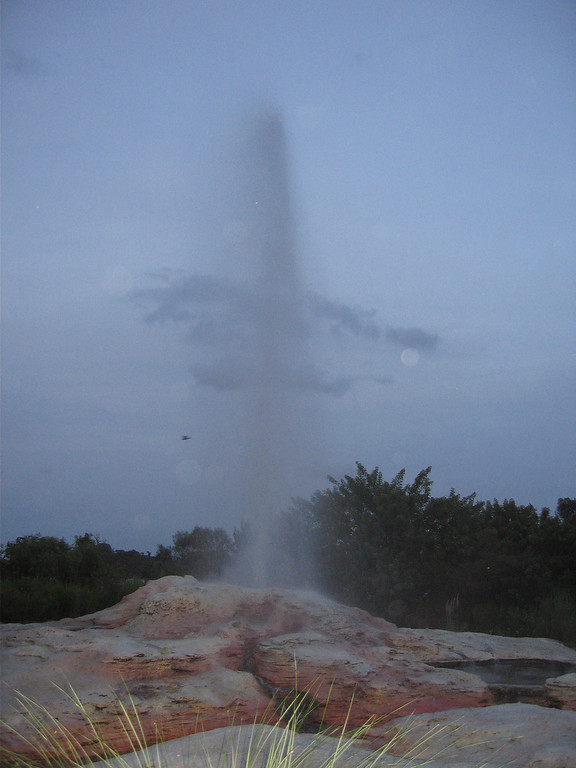 WDW%20430-XL.jpg