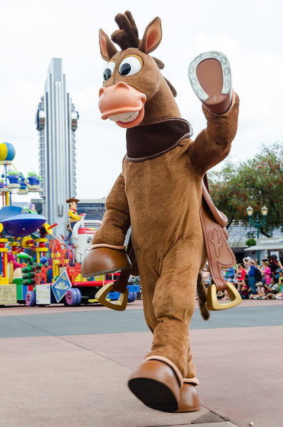 DSC2533-L.jpg