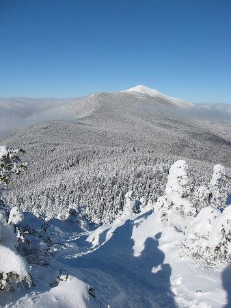 IMG2663-M.jpg