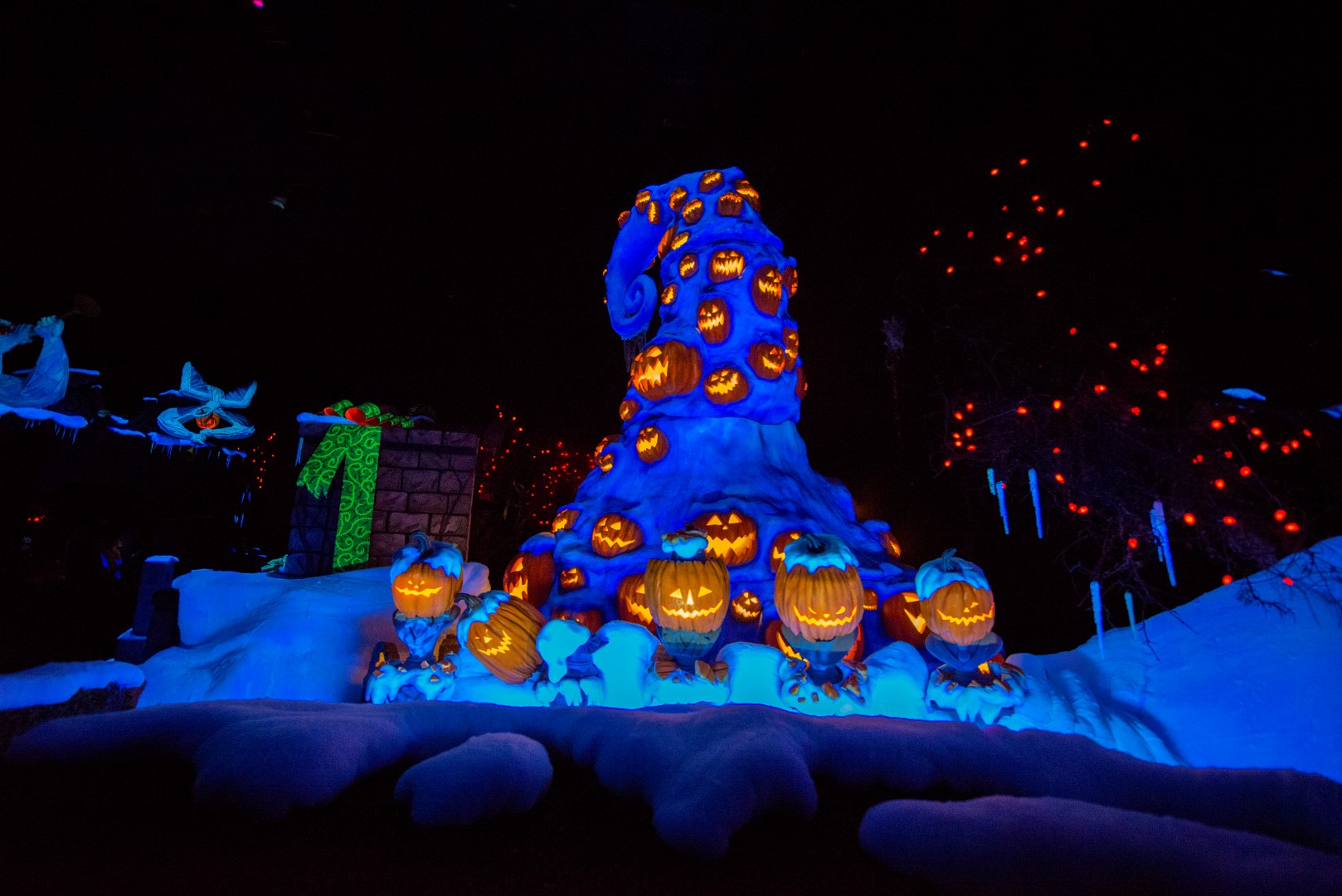 DSC_4196%20(Large).jpg
