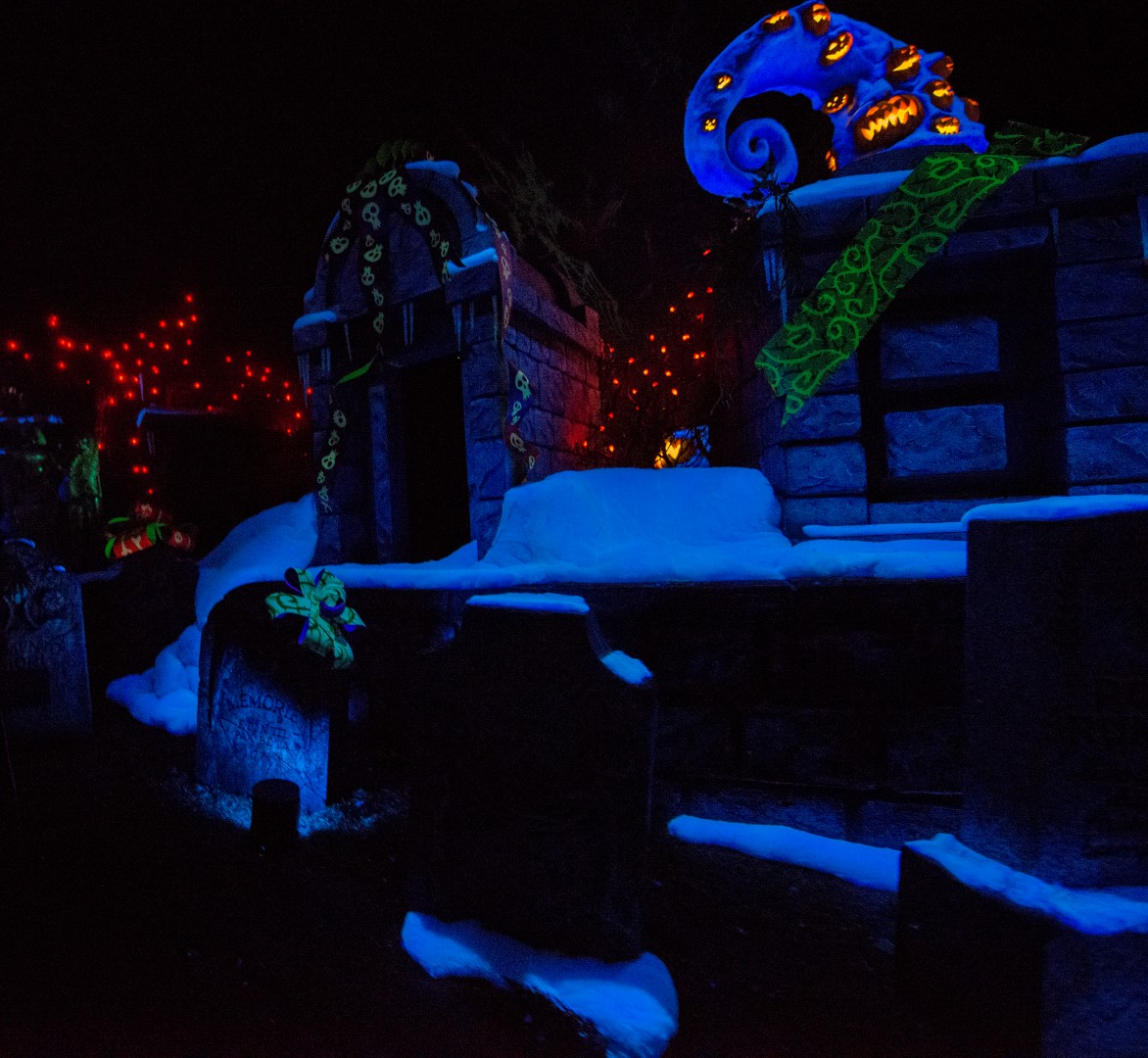DSC_4202%20(Large).jpg