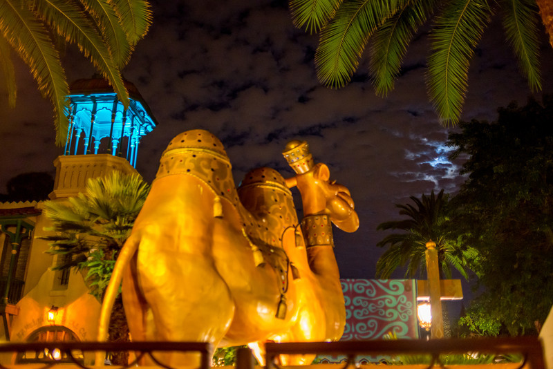 DSC_2628-L.jpg
