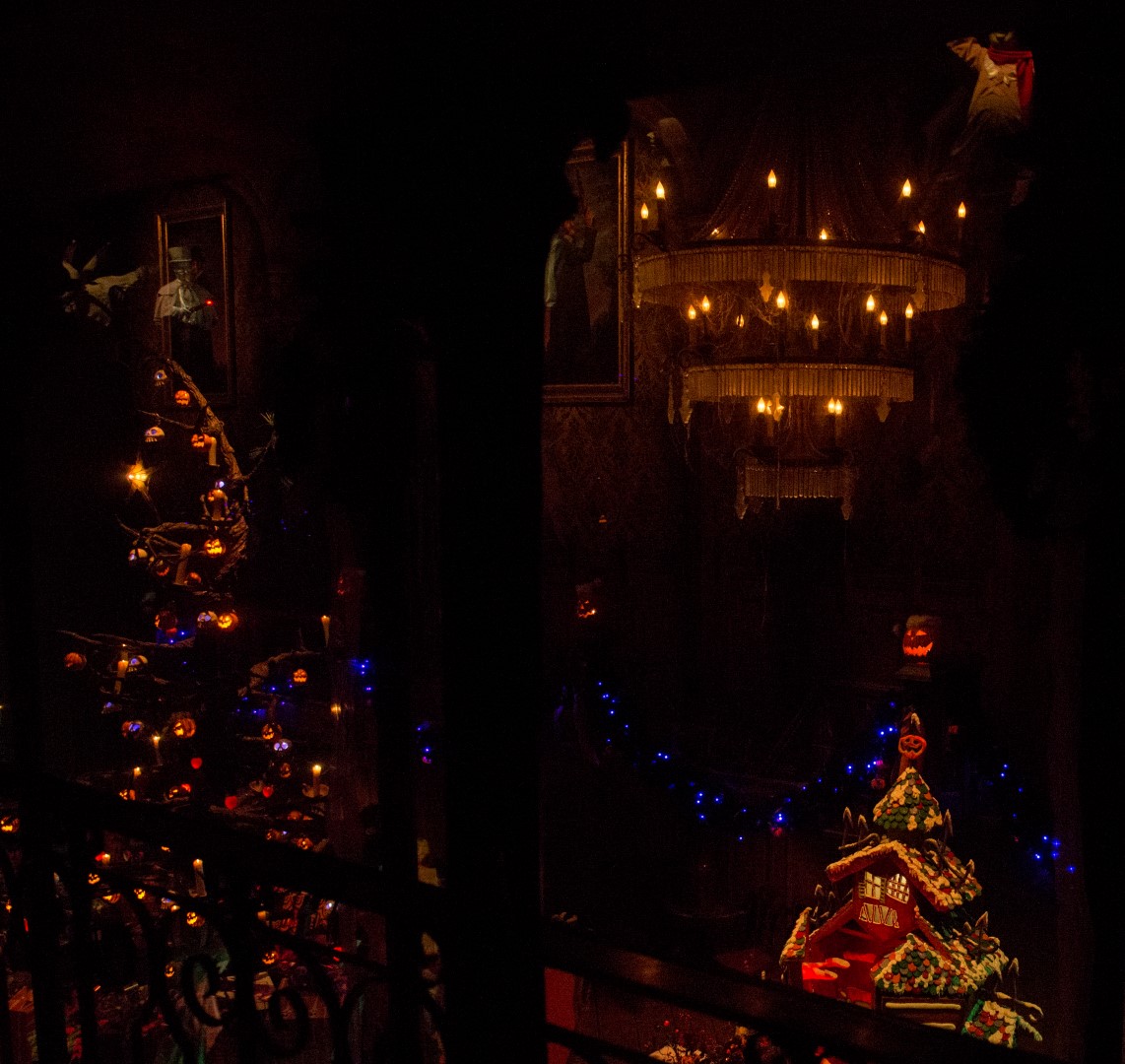DSC_8424%20(Large).jpg