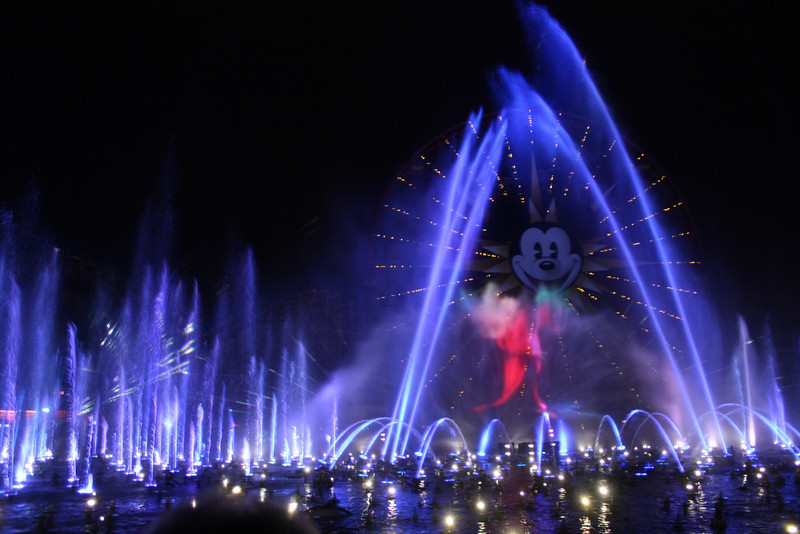 IMG0603-L.jpg