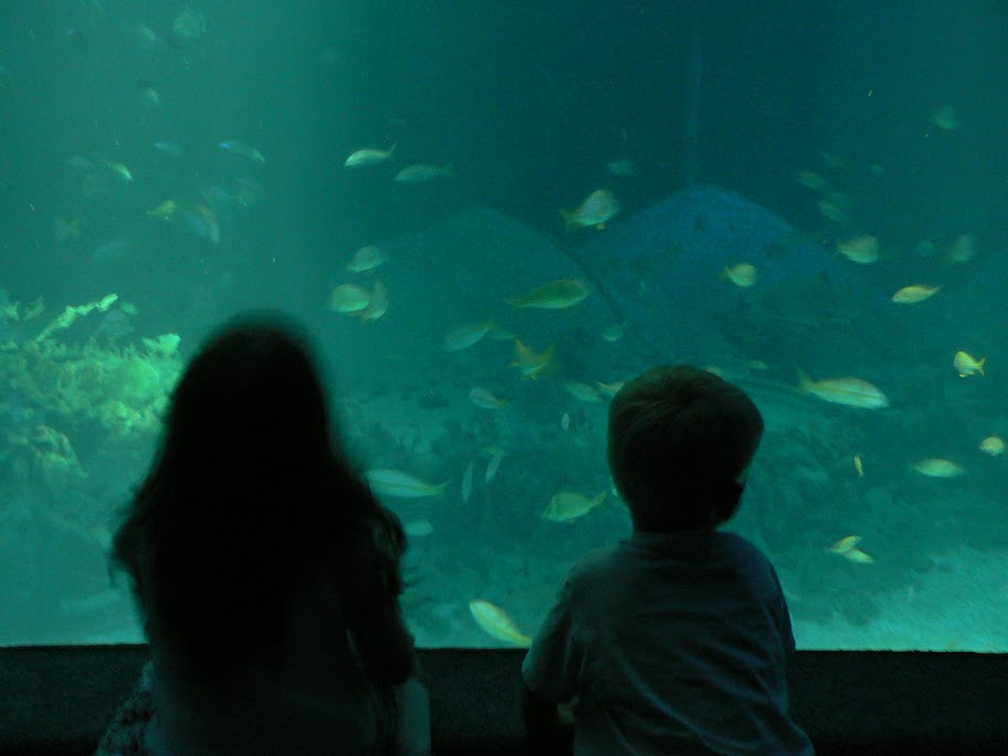 P1010495.JPG