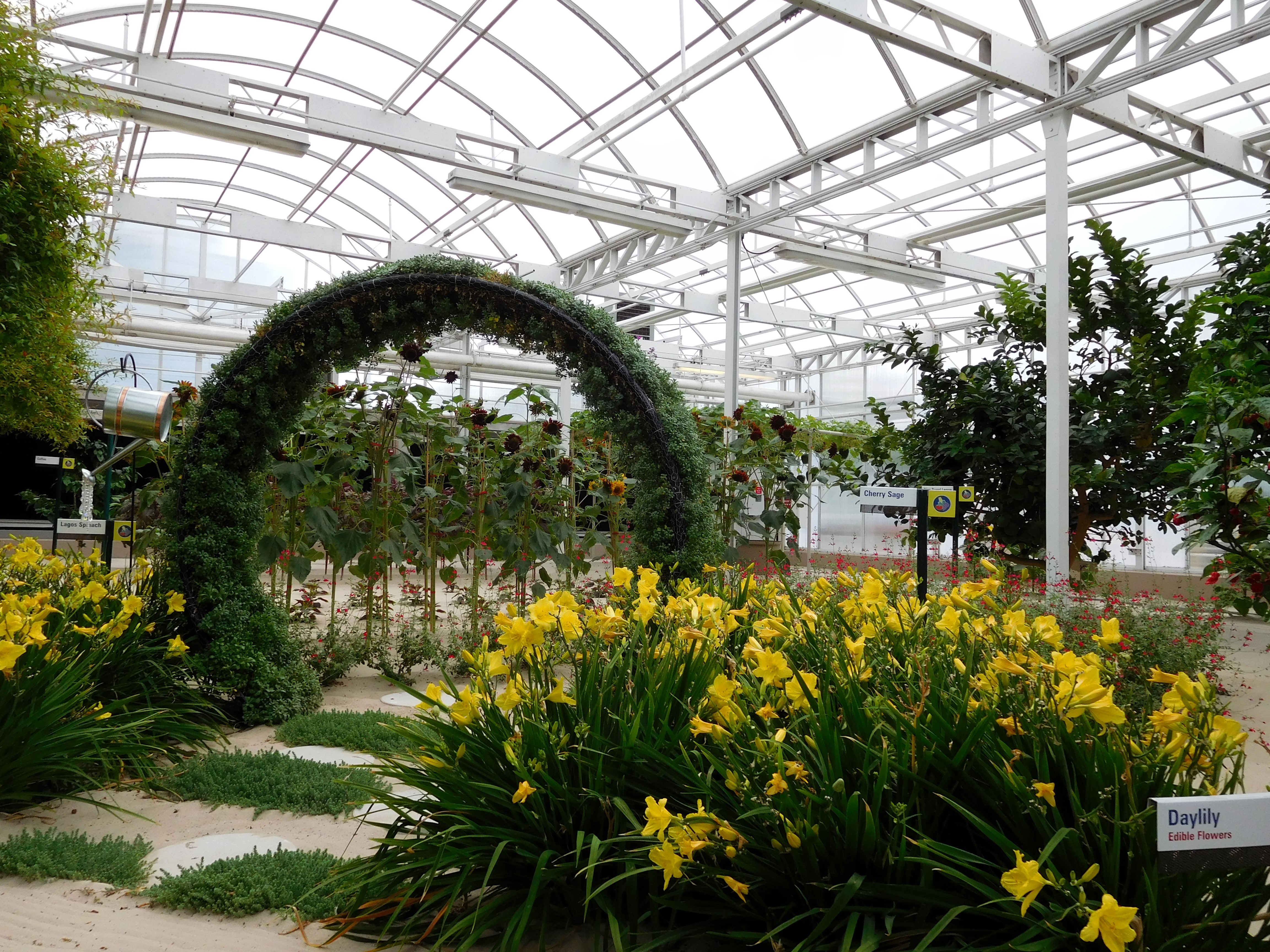 DSCN1533.jpg