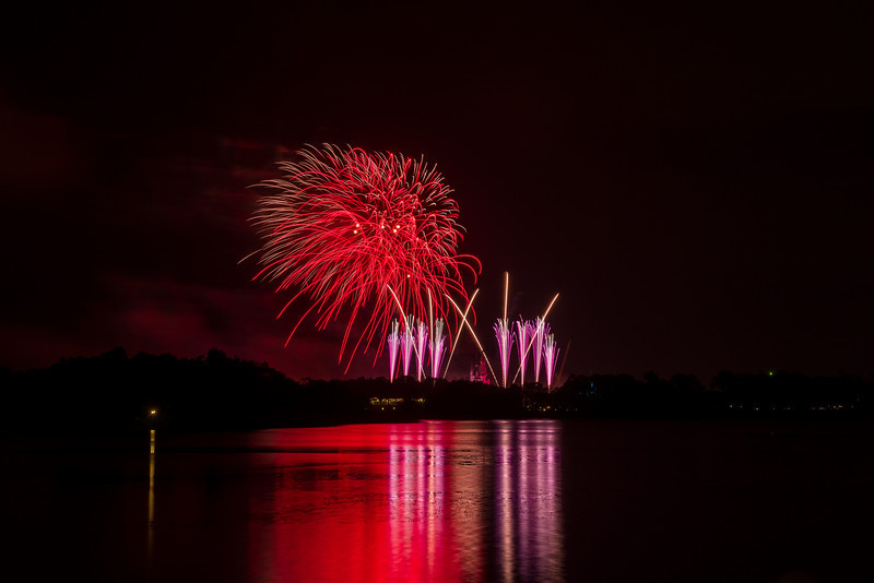 DSC_1546-L.jpg