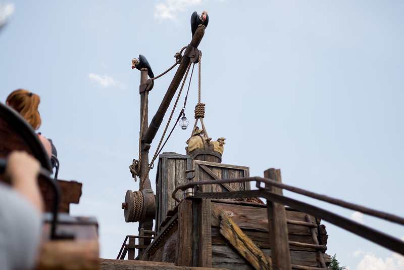DSC_8796-L.jpg