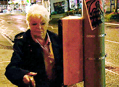 tumblr_lx2232L5Is1r70tp1o1_r1_250.gif