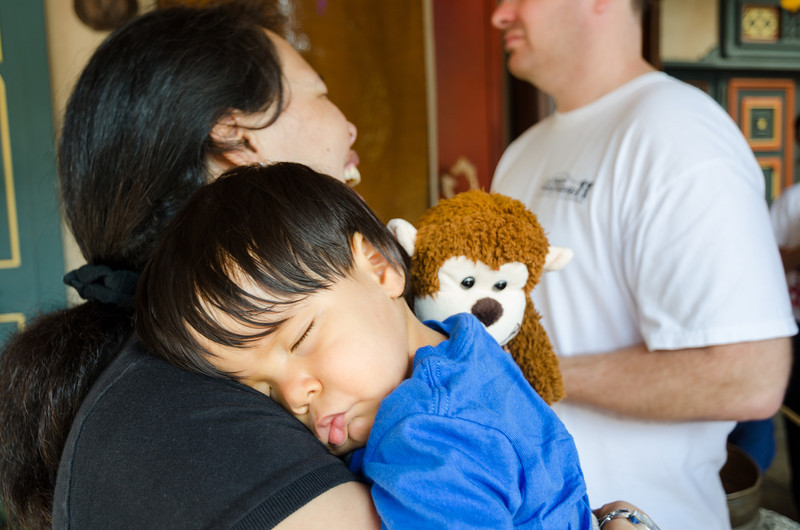 DSC3151-L.jpg