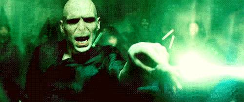 tumblr_ljoafkd74l1qa4133o1_500.gif