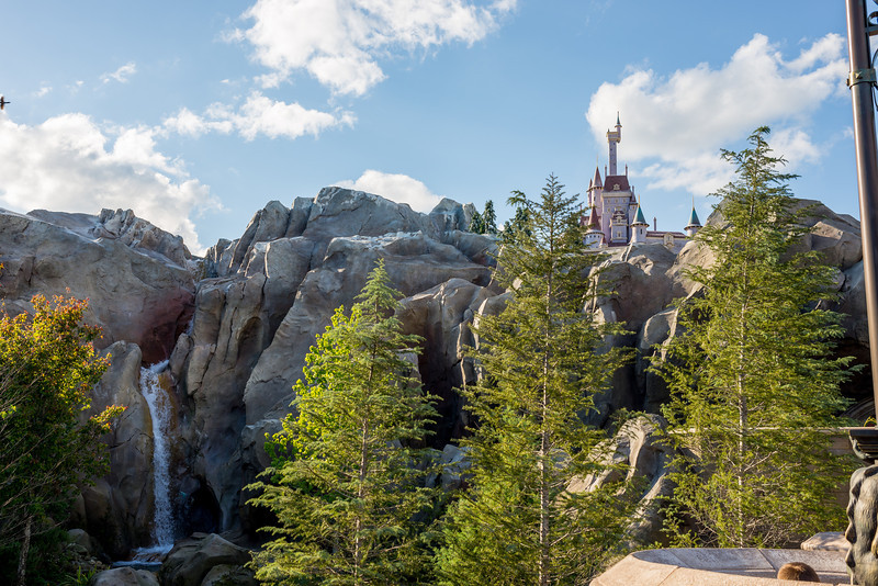 DSC_3569-L.jpg