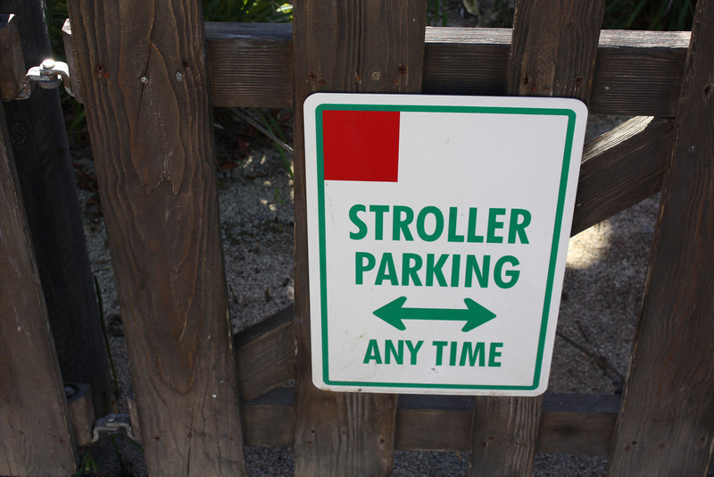 IMG9860-L.jpg