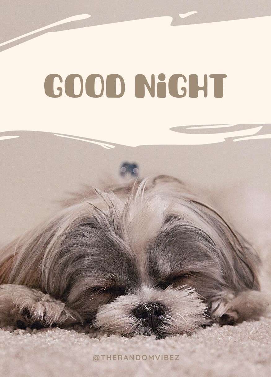 Good-Night-Cute-Images.jpg
