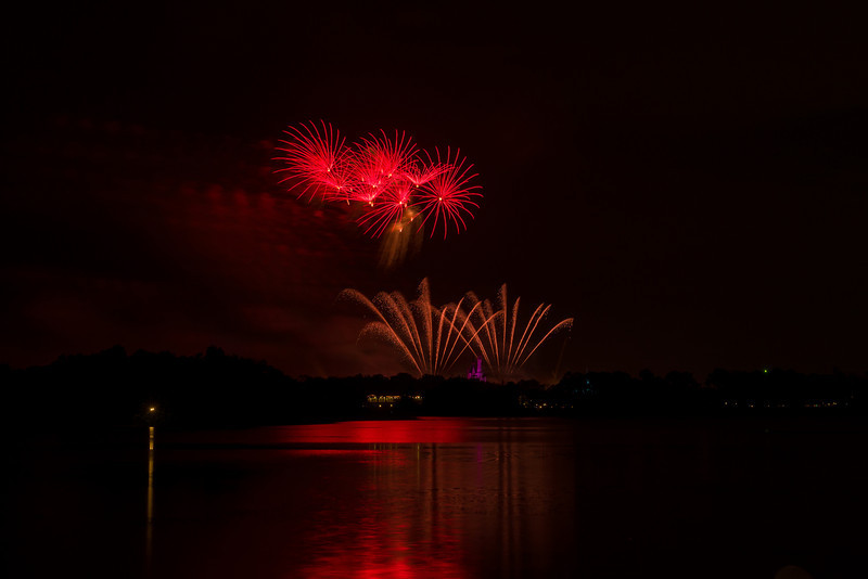 DSC_1547-L.jpg