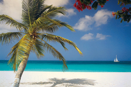 jamaica.gif