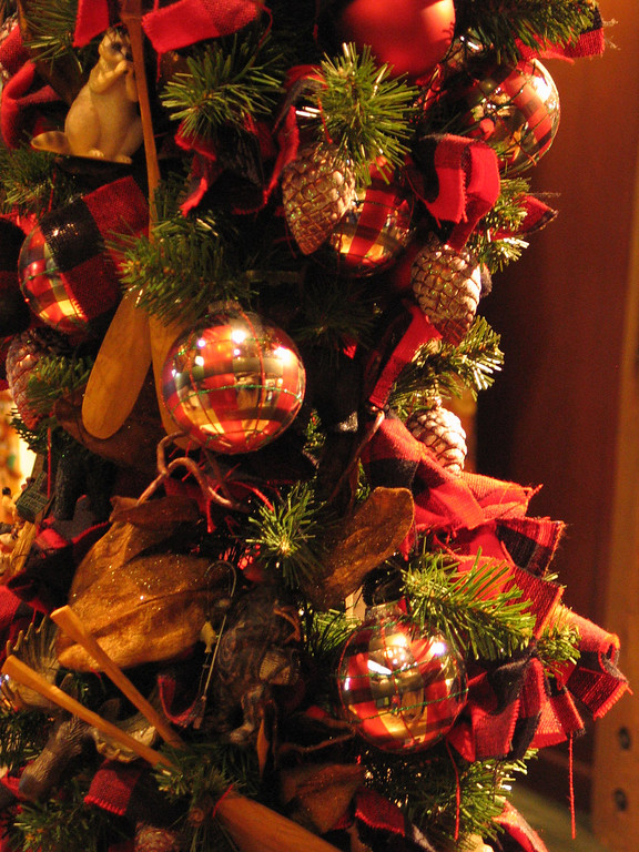 IMG7341-XL.jpg