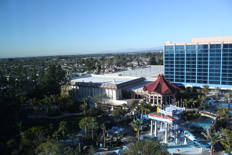 IMG0272-L.jpg