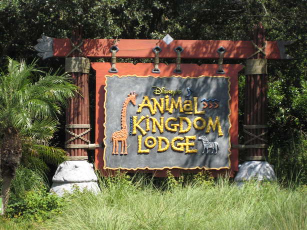 IMG_5676.JPG