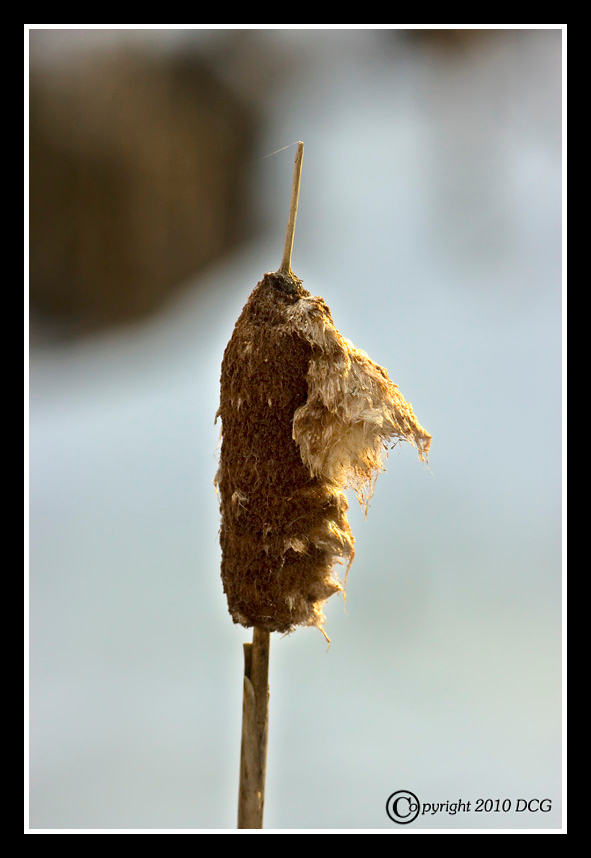 775471442_WbJ98-X2.jpg